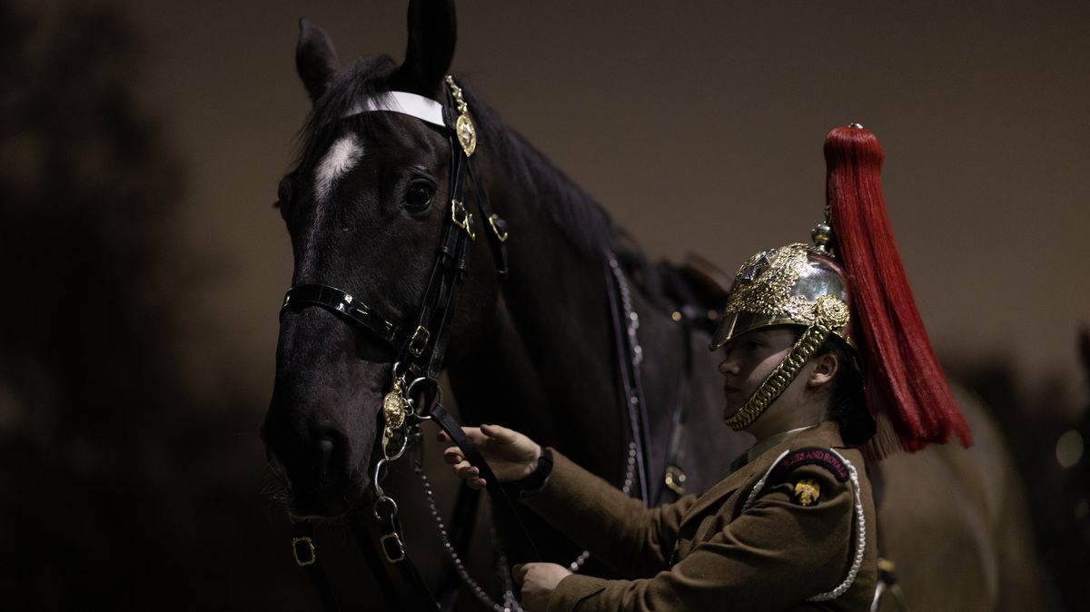 Fotky nácviku na den D: Královští koně pochodovali Londýnem pod rouškou tmy